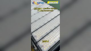Tunnel Farm3000-6500K Reflektor LED do montażu na ścianie zewnętrznej, aluminium