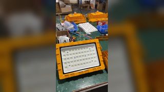 Oświetlenie przeciwwybuchowe LED SMD2835/3030 100-110lm/W IP66 do fabryk i stref zagrożonych wybuchem