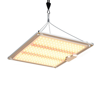 600W HPS 4x4 Lampa do uprawy roślin Promuje kwitnienie i owocowanie