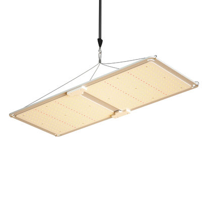 200W Pełne spektrum Ściemnialne LED Grow Light T5 System oświetlenia szklarniowego do wzrostu roślin