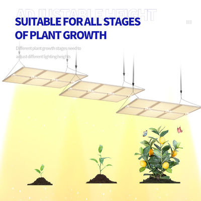 600W pełnofrekwencyjne światło LED z funkcją tłumiącą się dla optymalnego wzrostu roślin