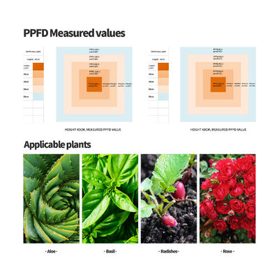 600W pełnofrekwencyjne światło LED z funkcją tłumiącą się dla optymalnego wzrostu roślin