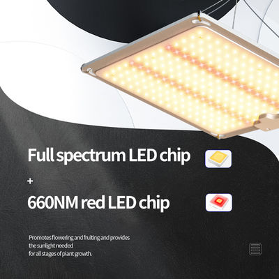 Panel LED 3x3 do uprawy, lampa do roślin, światło 600W