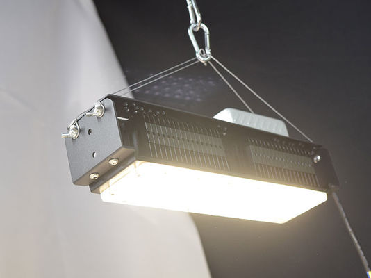 AC85V-265V Wewnętrzne lampy LED do uprawy roślin domowych 50W
