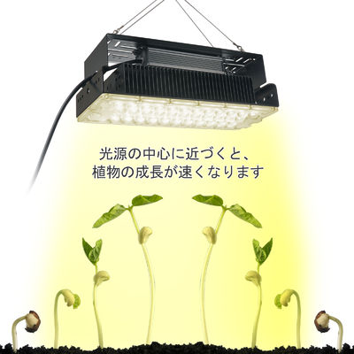 100w Wewnętrzne 5x5 Grow Light Dla Wewnętrznych Roślin Ogrodowych SMD3030
