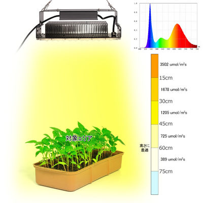 100w Wewnętrzne 5x5 Grow Light Dla Wewnętrznych Roślin Ogrodowych SMD3030