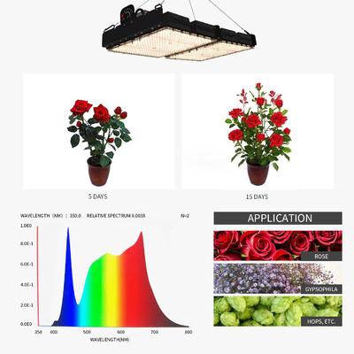 PPFD Reading Led Grow Light Lamps For Indoor Plants NR Specturm