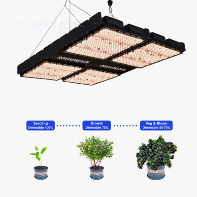 Lampy do roślin domowych 1000W do uprawy w pomieszczeniach 4x4