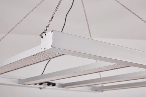 Pełno spektralne światło LED do uprawy roślin 800W z wodoodpornością IP65 do komercyjnego wzrostu roślin