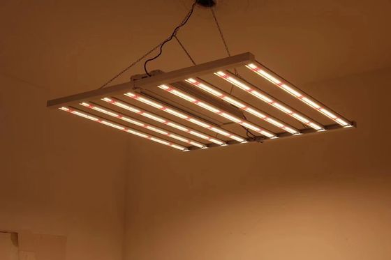 Składane lampy do uprawy w szklarni 8T, 800W 1000W HPS