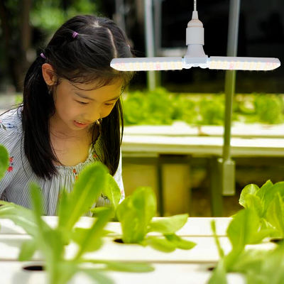 Kompaktowa lampa LED do uprawy roślin z pełnym spektrum + 660nm i wodoodpornością IP68 do uprawy roślin w pomieszczeniach