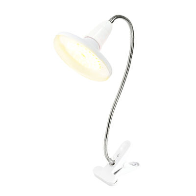 Oświetlenie cieplarniane 10W 20W Led Grow Light dla wszystkich etapów wzrostu ODM