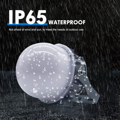 Wysokiej jakości IP65 wodoodporna lampa przeciwwybuchowa 50w 100 150w Led Light