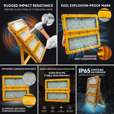 IP65 odporny na działanie pogody 600W LED światełka przeciwwybuchowa -40C/60C LUMILEDS LM-80 ATEX IIb T6 WF2