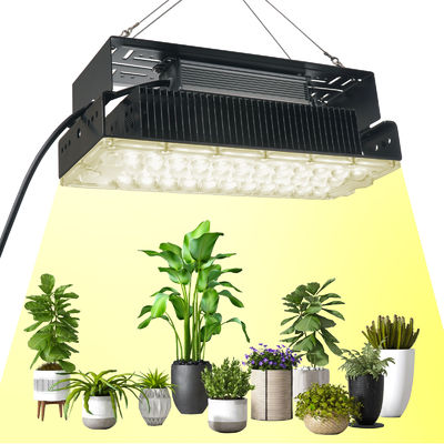 100w Wewnętrzne 5x5 Grow Light Dla Wewnętrznych Roślin Ogrodowych SMD3030
