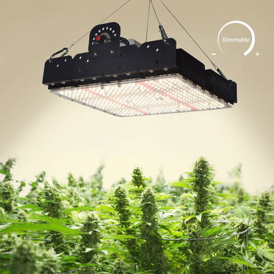 Pełno spektralne oświetlenie LED T5 do uprawy roślin w pomieszczeniach 250W